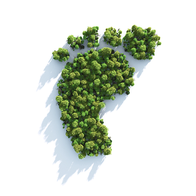 Descubra o que é a Pegada de Carbono e como reduzi-la na sua empresa